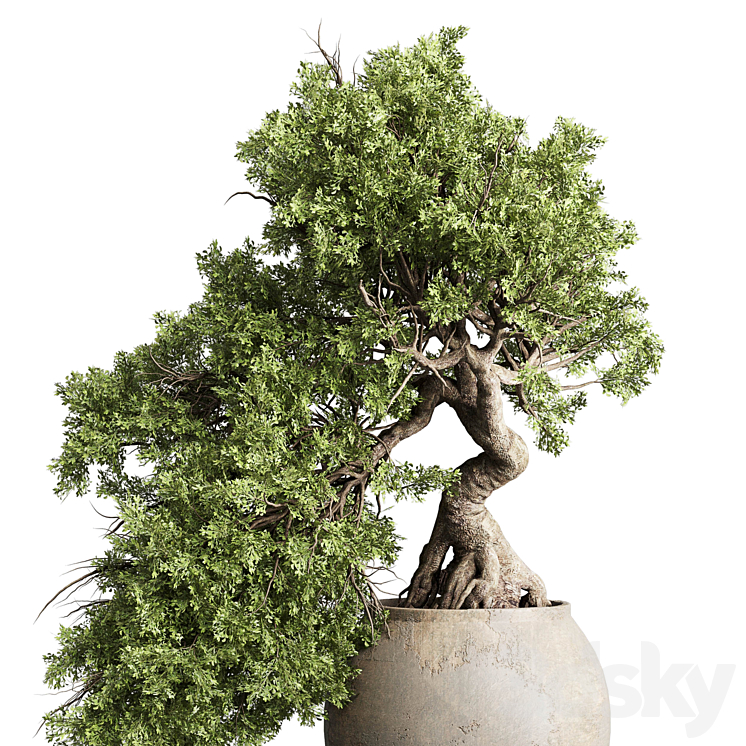 Bonsai tree in an old earthenware vase indoor plant 343 3DS Max - thumbnail 2