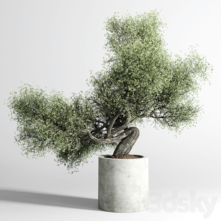 Bonsai Tree pots and shrubs 76 concrete dirt vase for plant outdoor 3DS Max Model - thumbnail 1