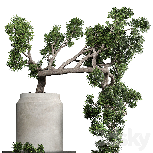 bonsai tree vase old concrete dirt pot 3DS Max Model - thumbnail 3