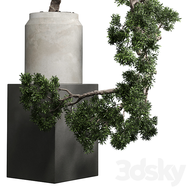 bonsai tree vase old concrete dirt pot 3DS Max Model - thumbnail 4