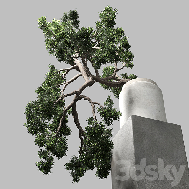 bonsai tree vase old concrete dirt pot 3DS Max Model - thumbnail 5