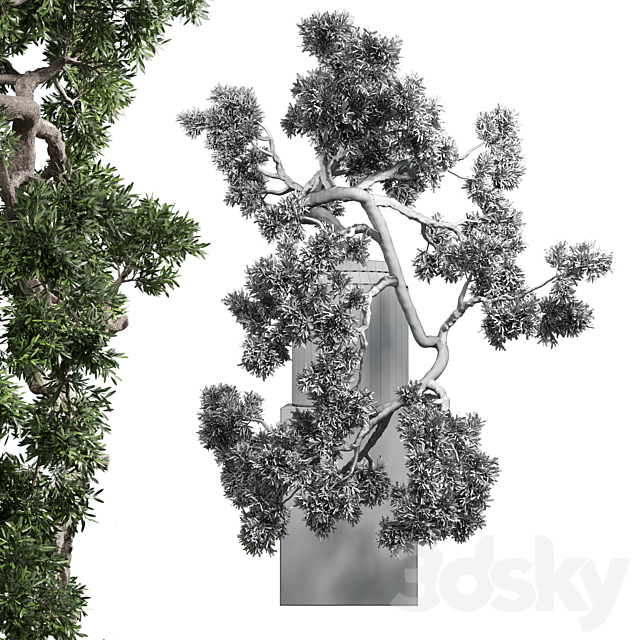 bonsai tree vase old concrete dirt pot 3DS Max Model - thumbnail 6