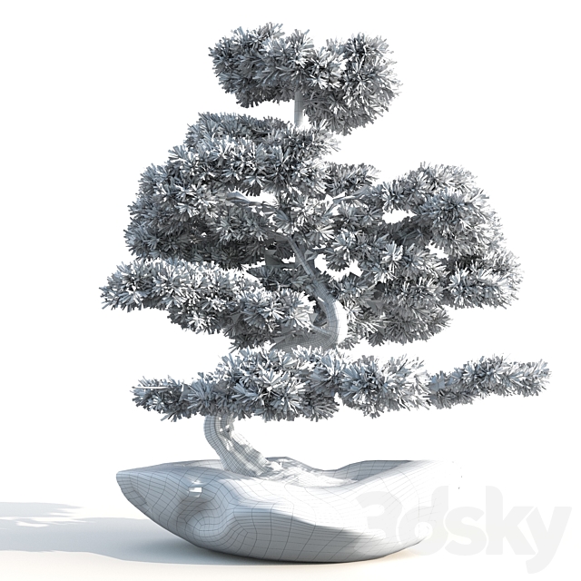 bonsai03 3DSMax File - thumbnail 4