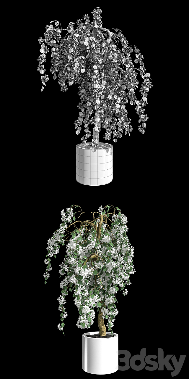 Bougainvillea 3DS Max Model - thumbnail 2