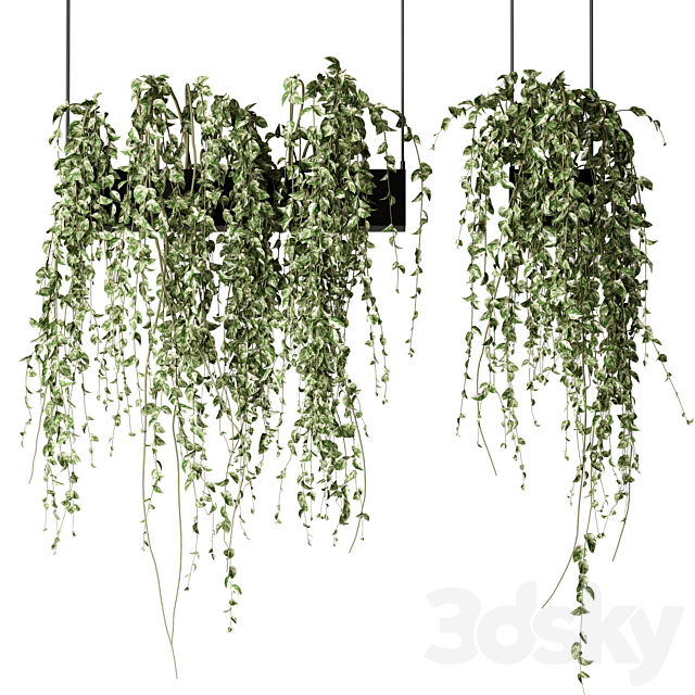 Bouquet Collection 08 – Decorative Hanging Plants 3ds Max - thumbnail 1