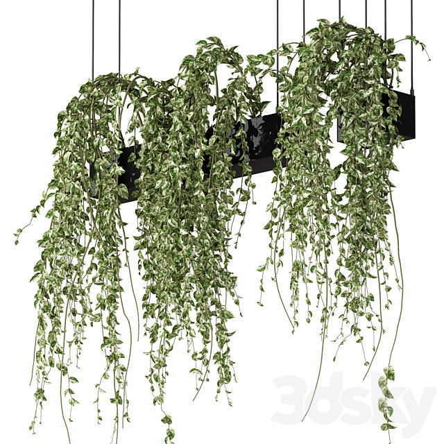 Bouquet Collection 08 – Decorative Hanging Plants 3ds Max - thumbnail 2