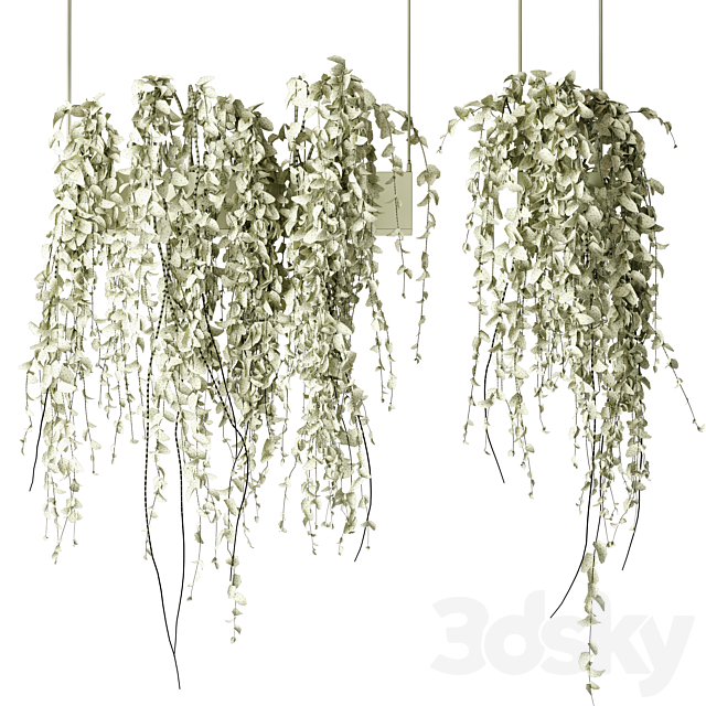 Bouquet Collection 08 – Decorative Hanging Plants 3ds Max - thumbnail 3