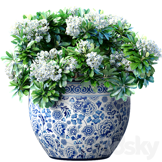 Bouquet of white flowers in a potted vase for decoration 3ds Max - thumbnail 1