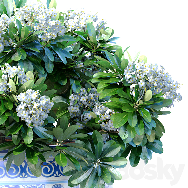 Bouquet of white flowers in a potted vase for decoration 3ds Max - thumbnail 2