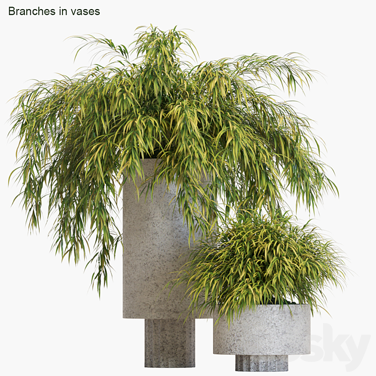 Branches in vases # 14: Hakonechloa 3DS Max - thumbnail 1