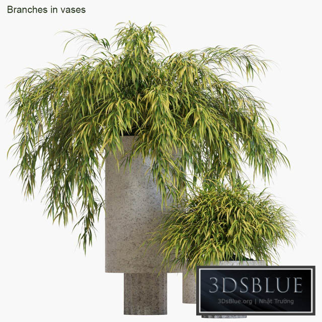 Branches in vases # 14: Hakonechloa 3DS Max - thumbnail 3