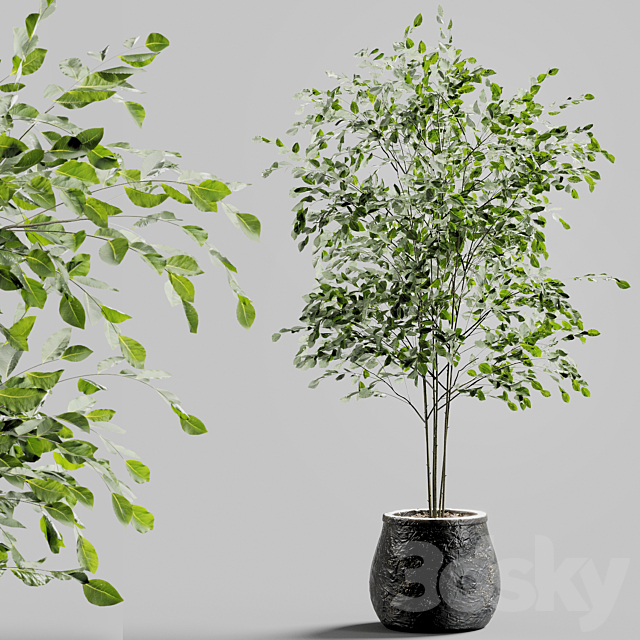 Branches in vases 27 3ds Max - thumbnail 1