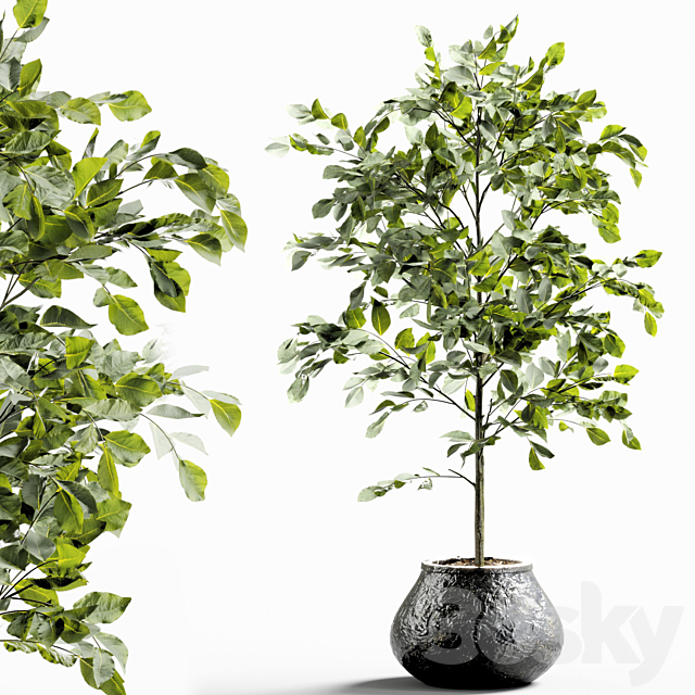 Branches in vases 28 3ds Max - thumbnail 1