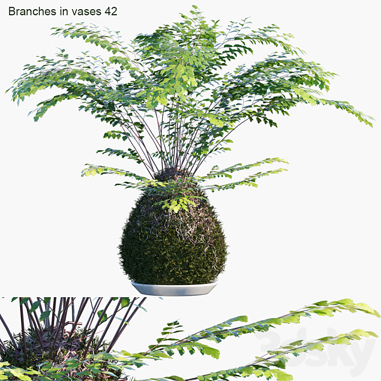 Branches in vases 42: Kokedama 3DS Max Model - thumbnail 3