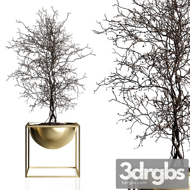 Branching Tree 3dsmax Download - thumbnail 1