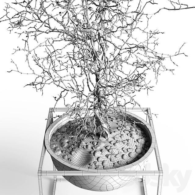 Branching tree 3DSMax File - thumbnail 3