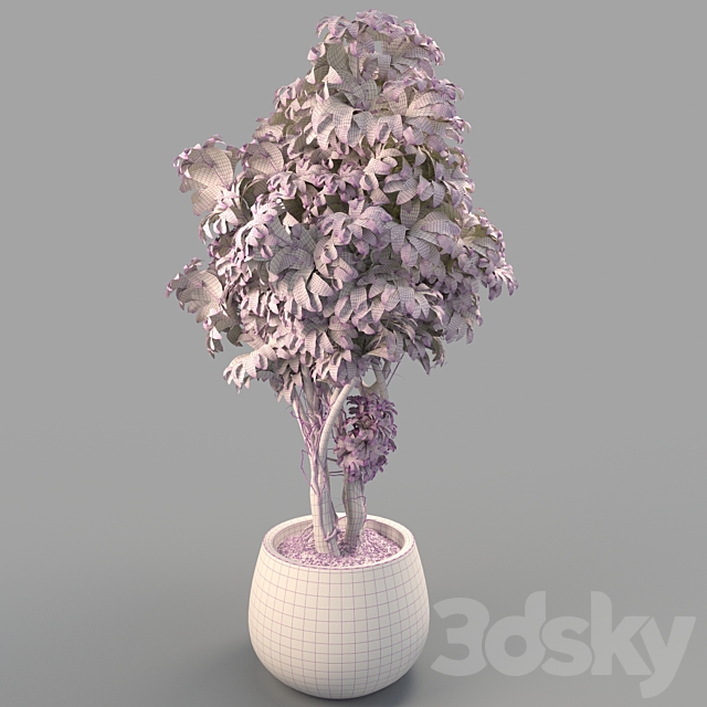 Bush in a pot 3DS Max Model - thumbnail 2