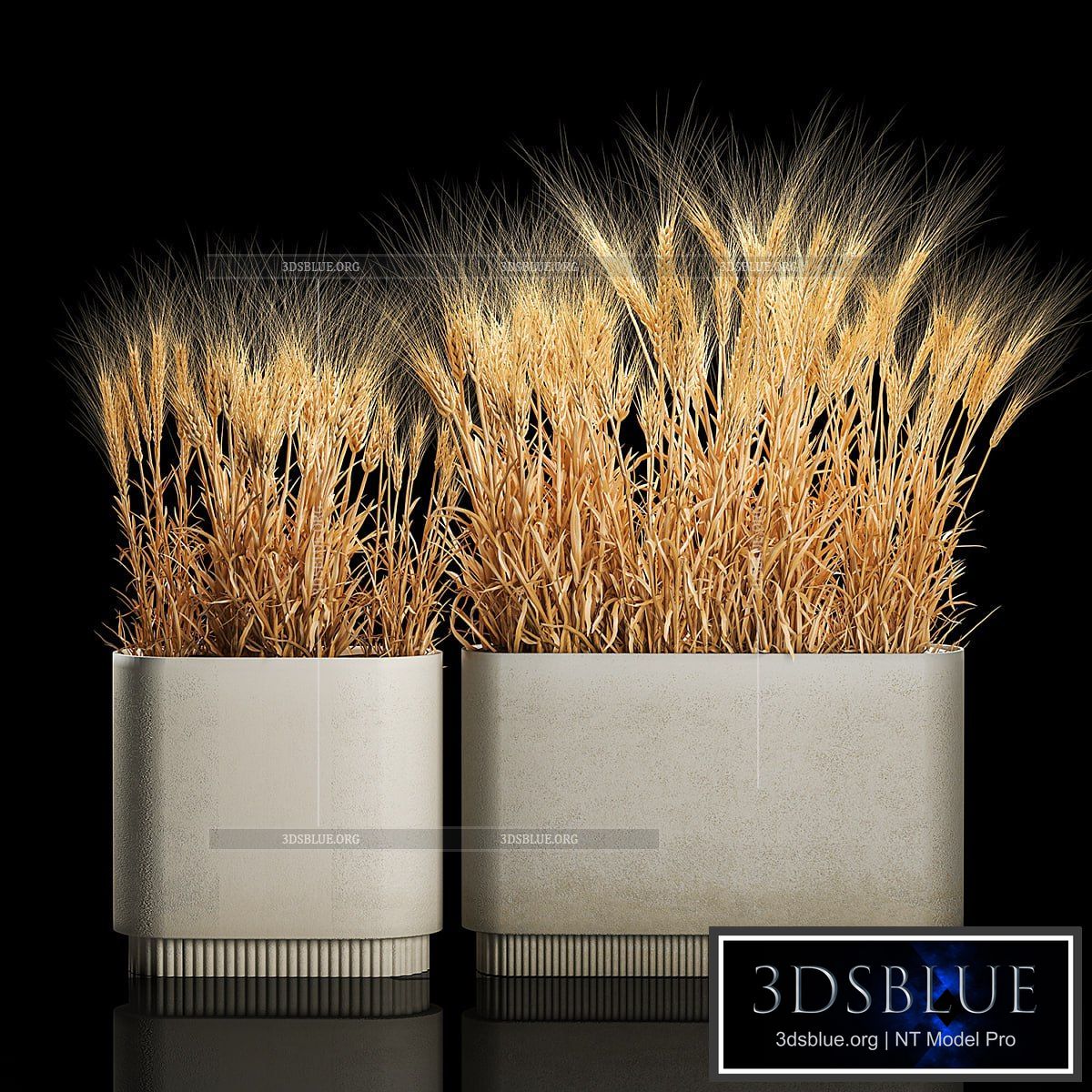 Bushes of spikelets of dry wheat in flowerpots dried flowers eco style. Plant collection 1204 3DS Max - thumbnail 3