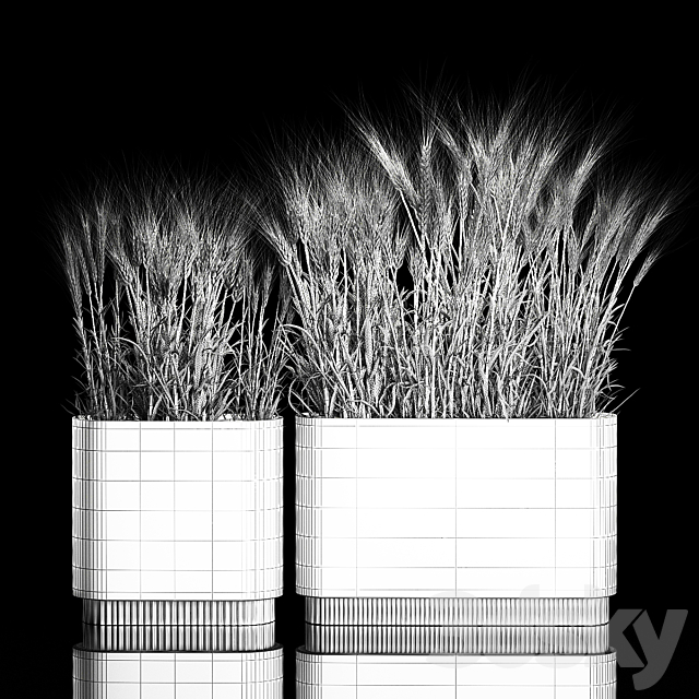 Bushes of spikelets of dry wheat in flowerpots dried flowers eco style. Plant collection 1204 3DS Max Model - thumbnail 6