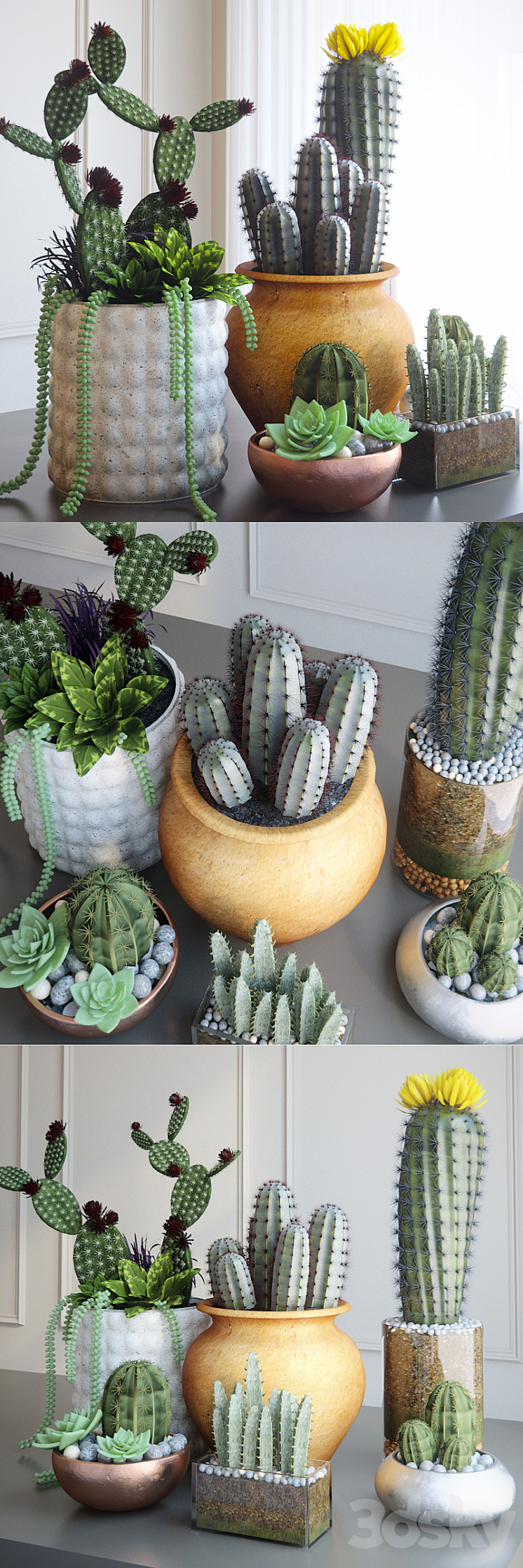 Cacti 3DS Max - thumbnail 2