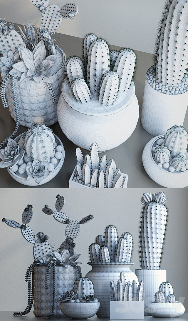 Cacti 3DSMax File - thumbnail 3