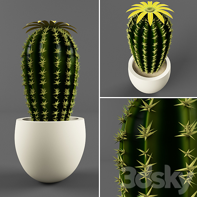 Cactus 3DSMax File - thumbnail 1