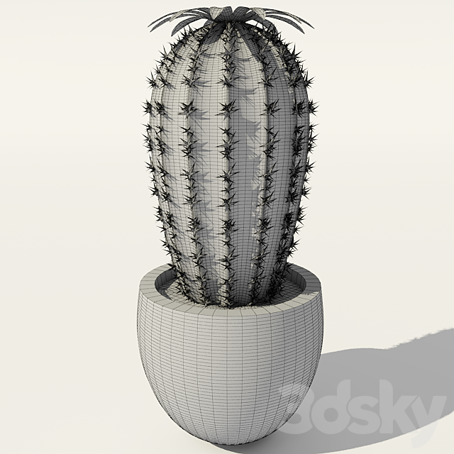 Cactus 3DSMax File - thumbnail 3