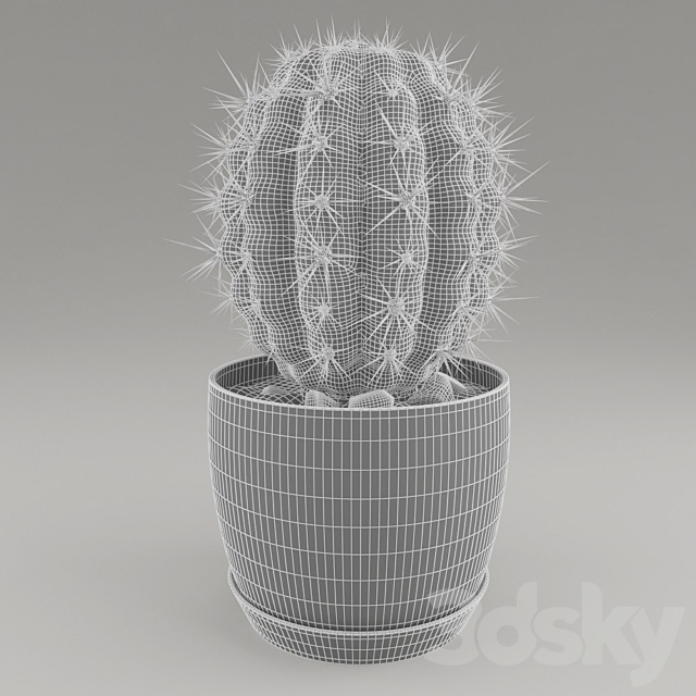 Cactus 3DSMax File - thumbnail 3