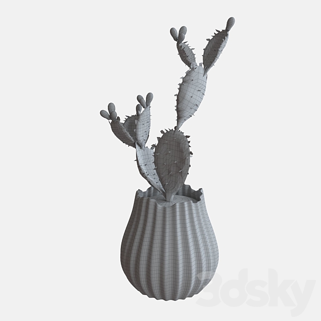 Cactus 3DSMax File - thumbnail 2