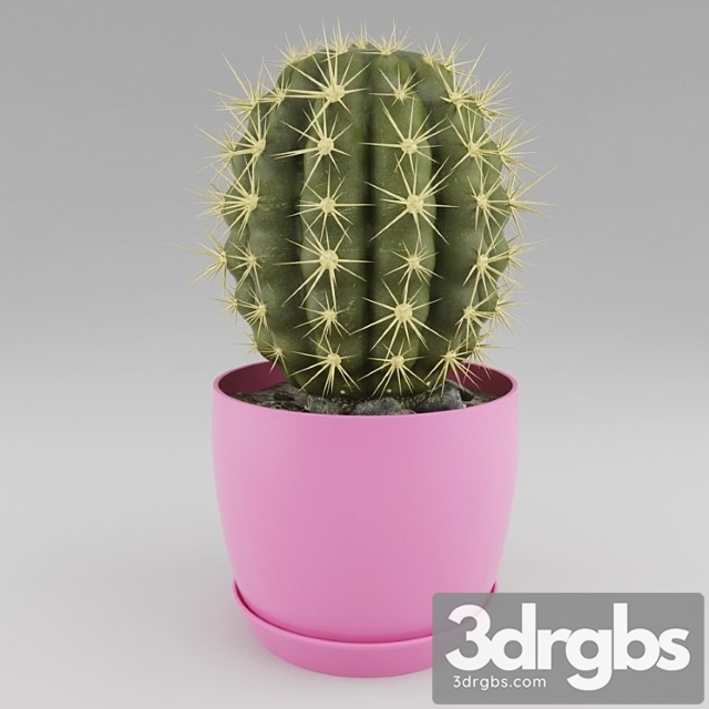 Cactus 9 3dsmax Download - thumbnail 1