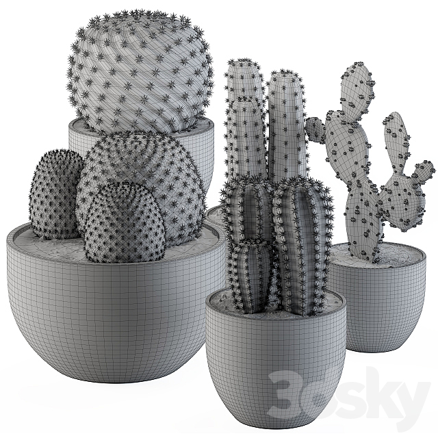 Cactus collection 02 3DSMax File - thumbnail 2