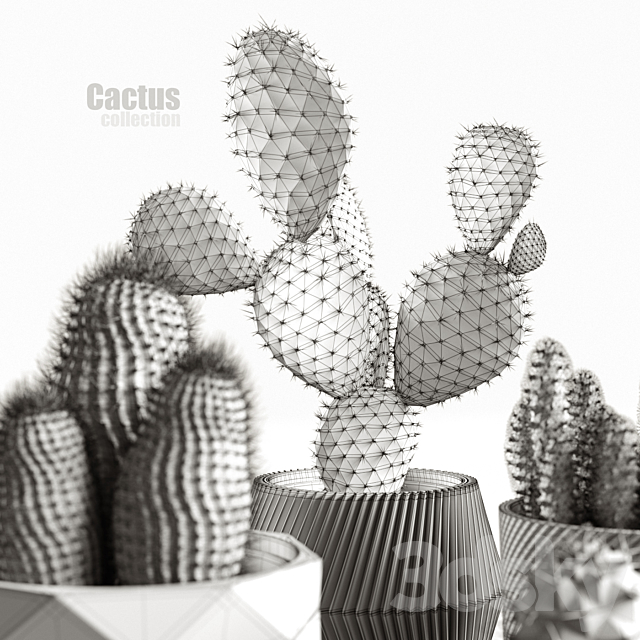 Cactus collection 3DSMax File - thumbnail 4