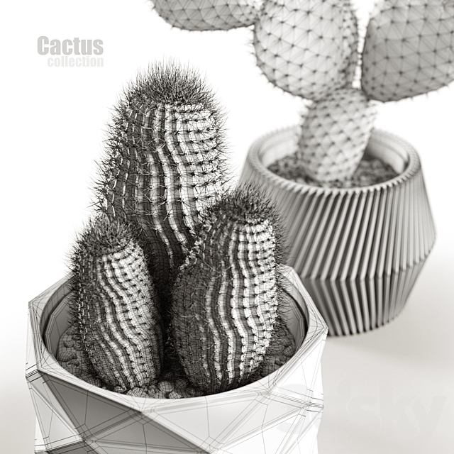 Cactus collection 3DSMax File - thumbnail 5