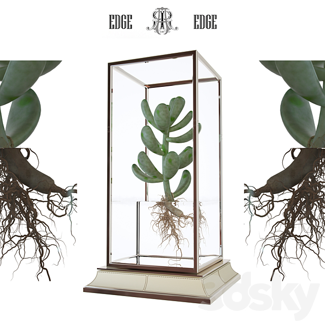 Cactus in a vase on a stand 3DSMax File - thumbnail 1