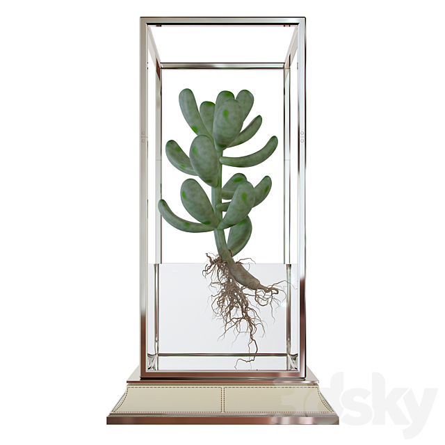 Cactus in a vase on a stand 3DSMax File - thumbnail 2