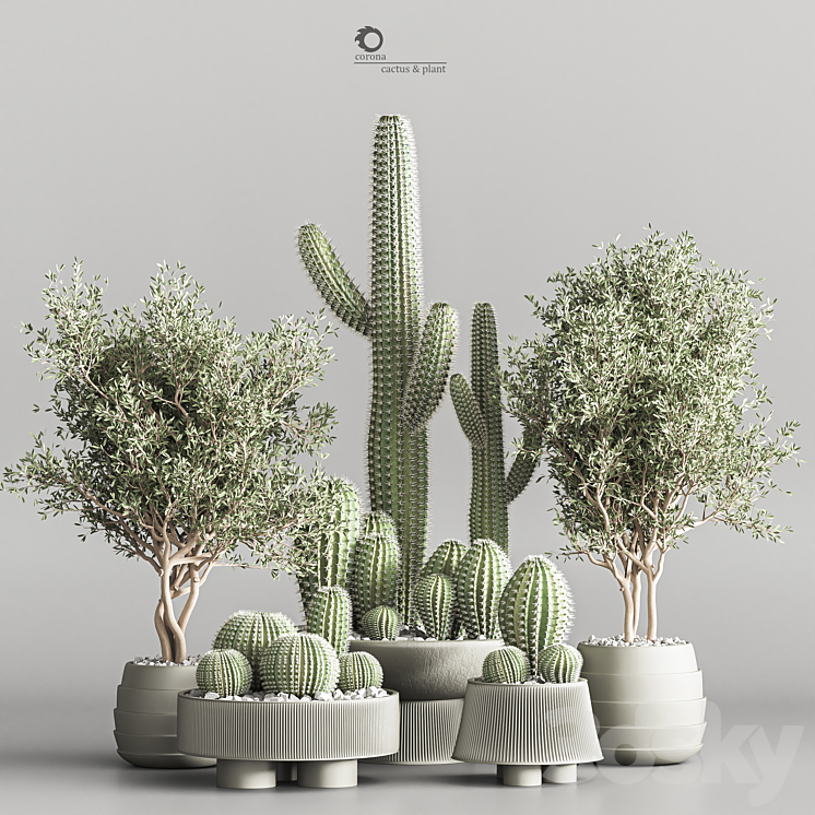 Cactus & plant vol 01 3DS Max - thumbnail 1