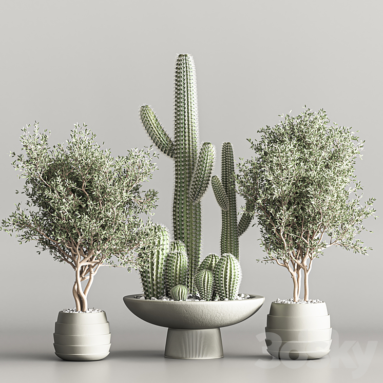 Cactus & plant vol 01 3DS Max - thumbnail 2