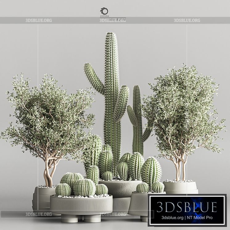 Cactus & plant vol 01 3DS Max - thumbnail 3