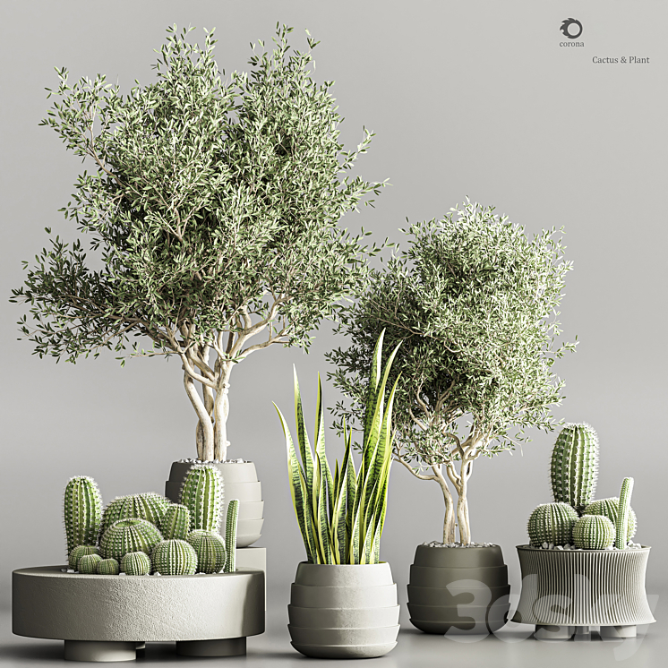 Cactus & plant vol 02 3DS Max Model - thumbnail 3