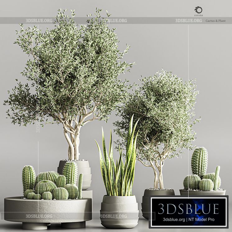 Cactus & plant vol 02 3DS Max - thumbnail 3