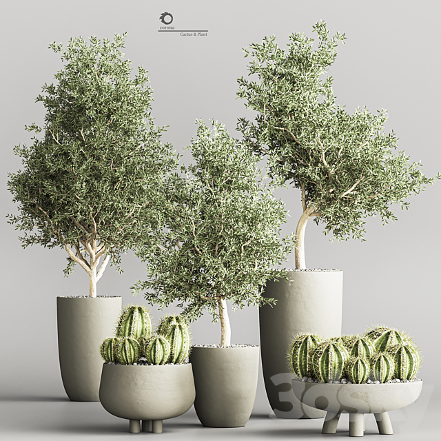 cactus & plant vol 03 3ds Max - thumbnail 1