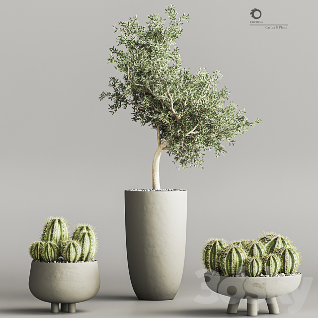 cactus & plant vol 03 3ds Max - thumbnail 2