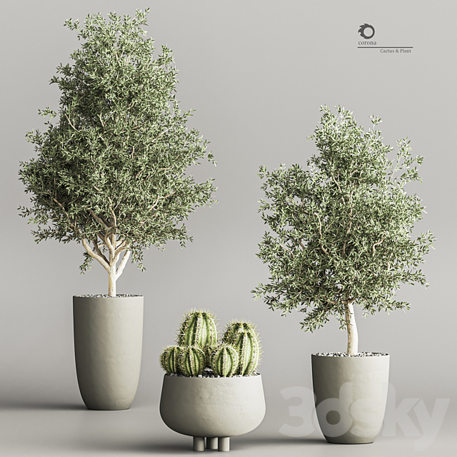 cactus & plant vol 03 3ds Max - thumbnail 3