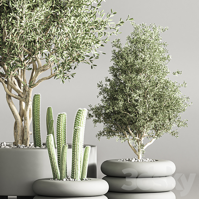 cactus & plant vol 06 3DS Max Model - thumbnail 3