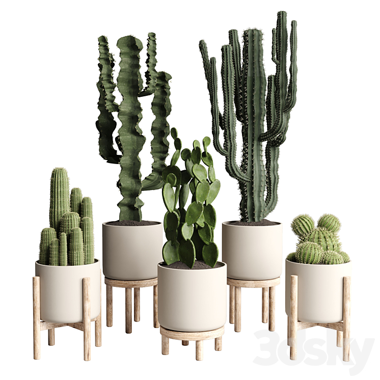 cactus pot collection indoor plant 186 wood vase 3DS Max Model - thumbnail 1