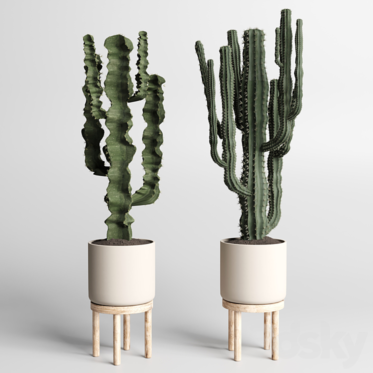 cactus pot collection indoor plant 186 wood vase 3DS Max Model - thumbnail 2