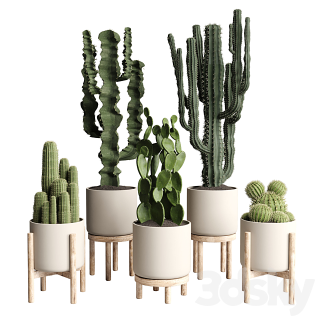 cactus pot collection indoor plant 186 wood vase 3DSMax File - thumbnail 1