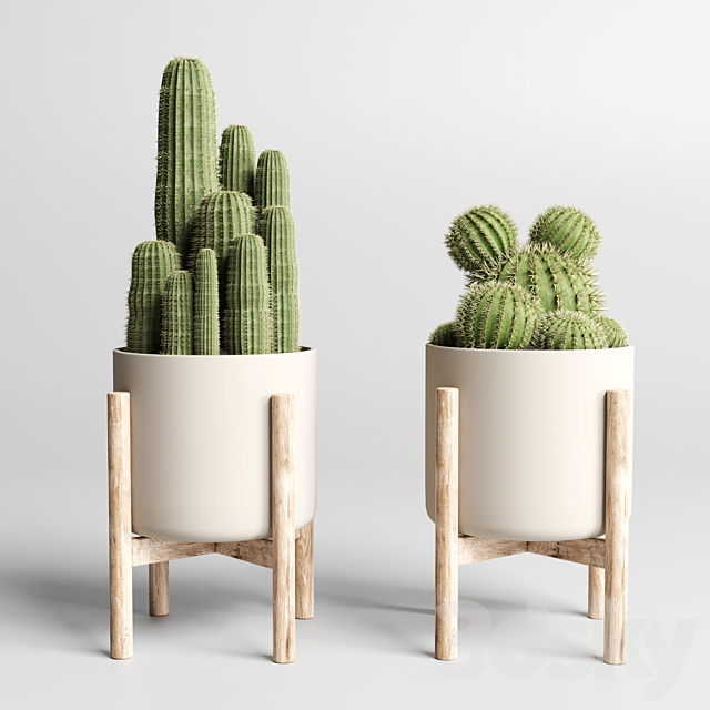 cactus pot collection indoor plant 186 wood vase 3DSMax File - thumbnail 3