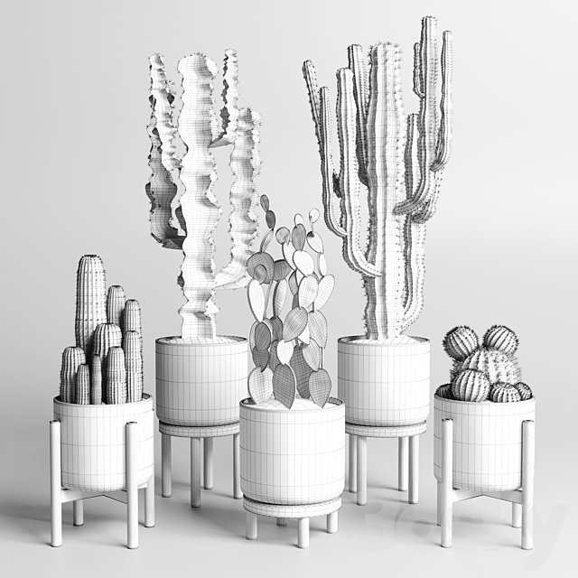 cactus pot collection indoor plant 186 wood vase 3DSMax File - thumbnail 5