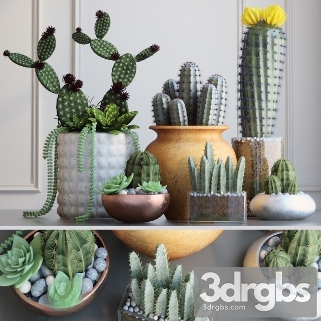 Cactus Pots Set 3dsmax Download - thumbnail 1